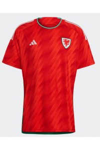 Fotbalové Dres Wales Domácí Oblečení MS 2022 Krátký Rukáv